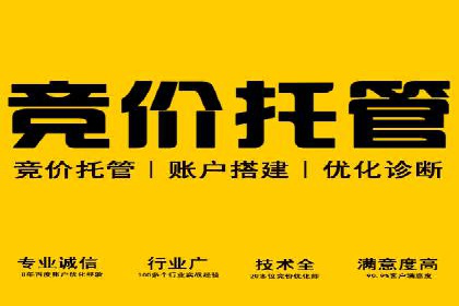 百度广告投放技巧与案例分享